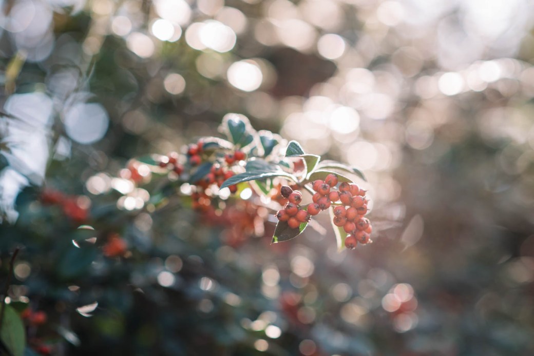 clouds-over-downtown-sacramento-17