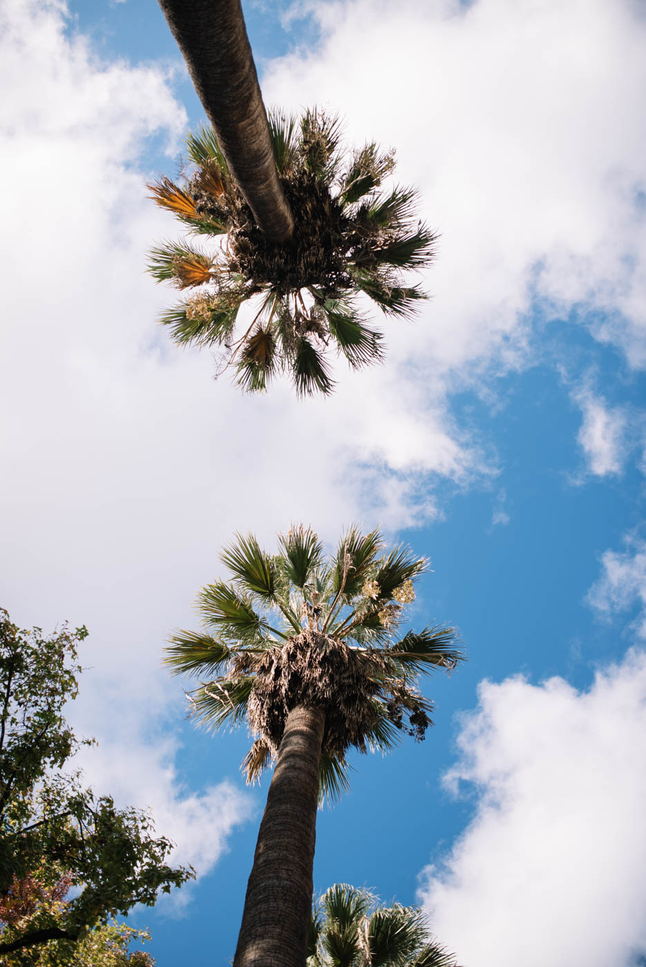 clouds-over-downtown-sacramento-32