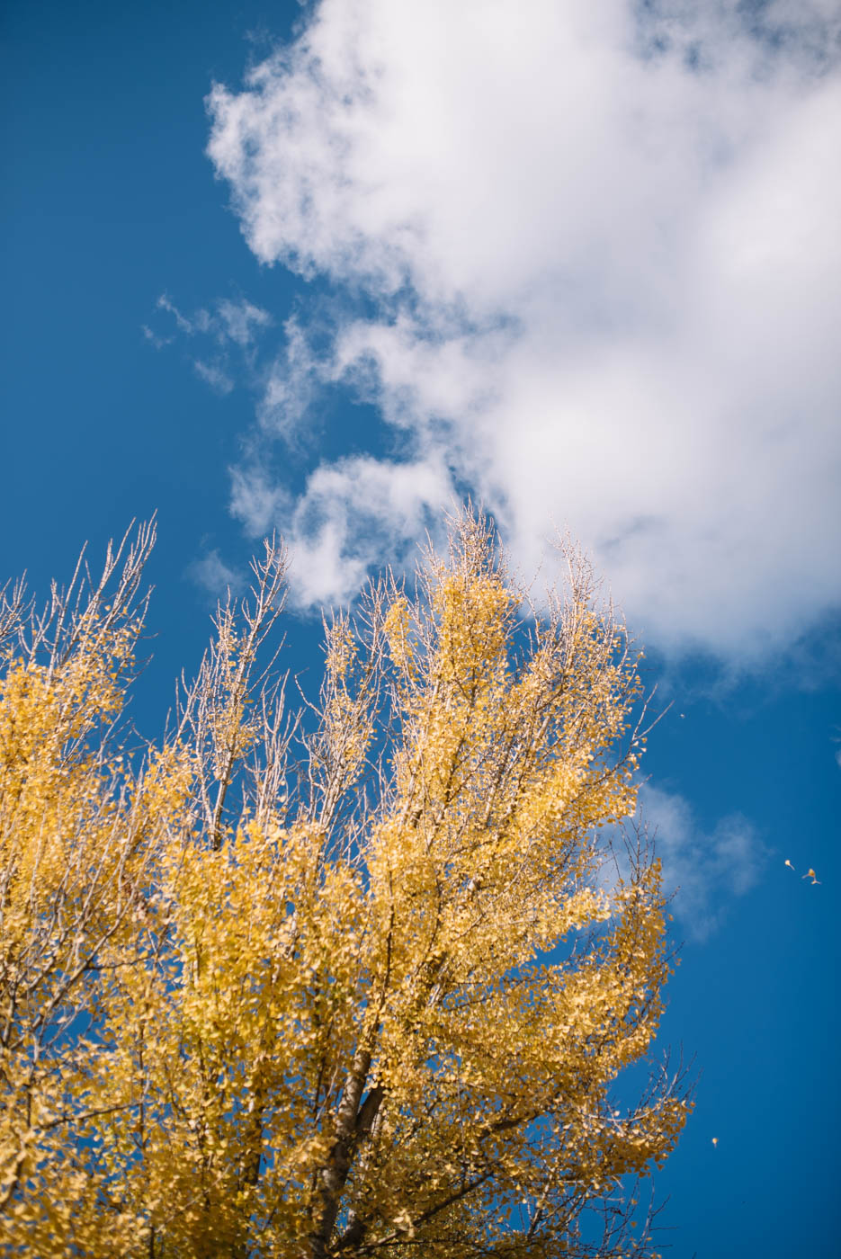 clouds-over-downtown-sacramento-51