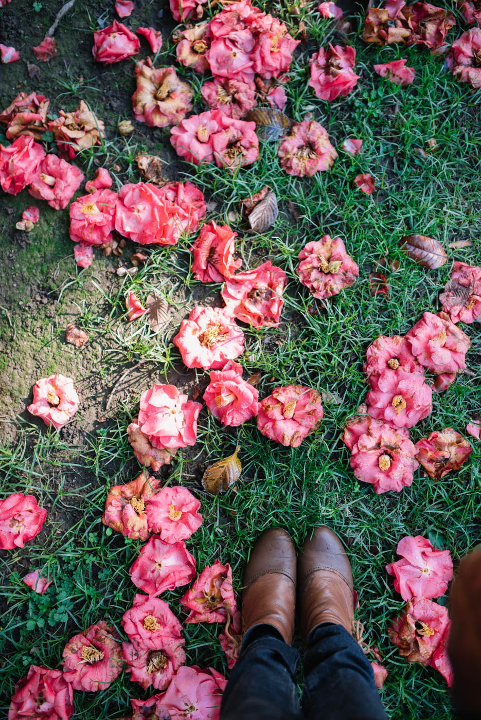 clouds-over-downtown-sacramento-6