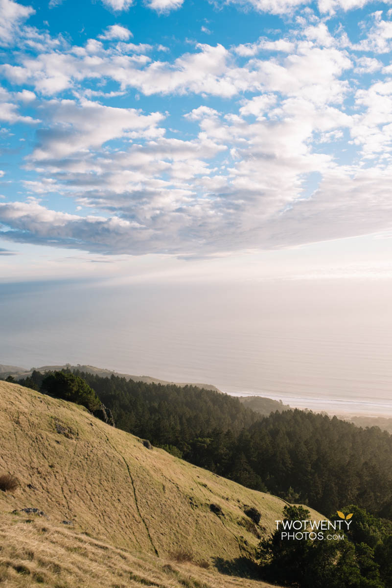 mt-tamalpais-san-franciso-photographer-11