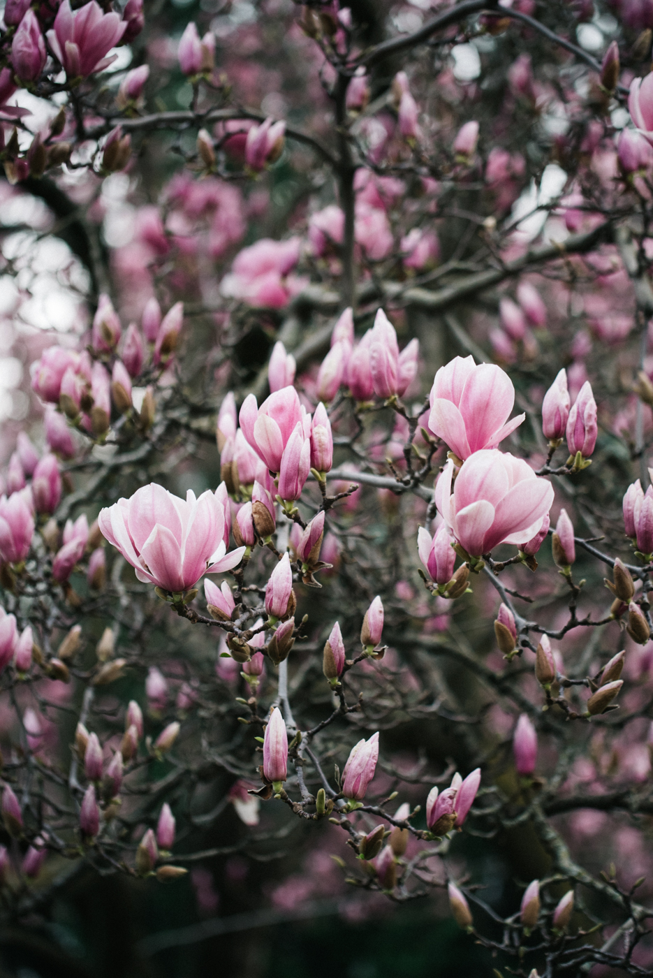 by TwoTwentyPhotos.com